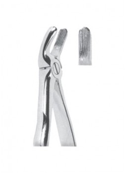 Extracting Forceps